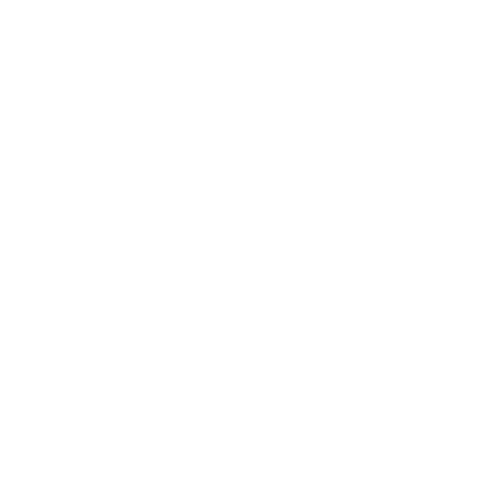 Logo SMP białe